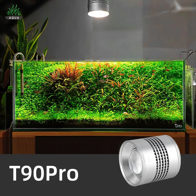 Aquarium Plant Not Growing - Semaine Aqua série T T90 Pro