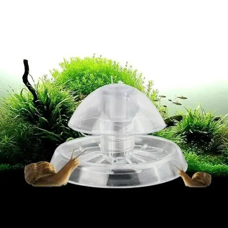 Aquarium Planting Ideas - Nouvelle boîte piège à escargots en