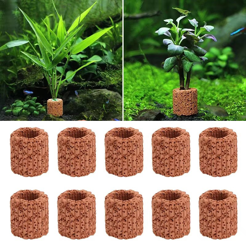 Aquarium Plant Rings - Anneau fixe pour plantes aquatiques, pour