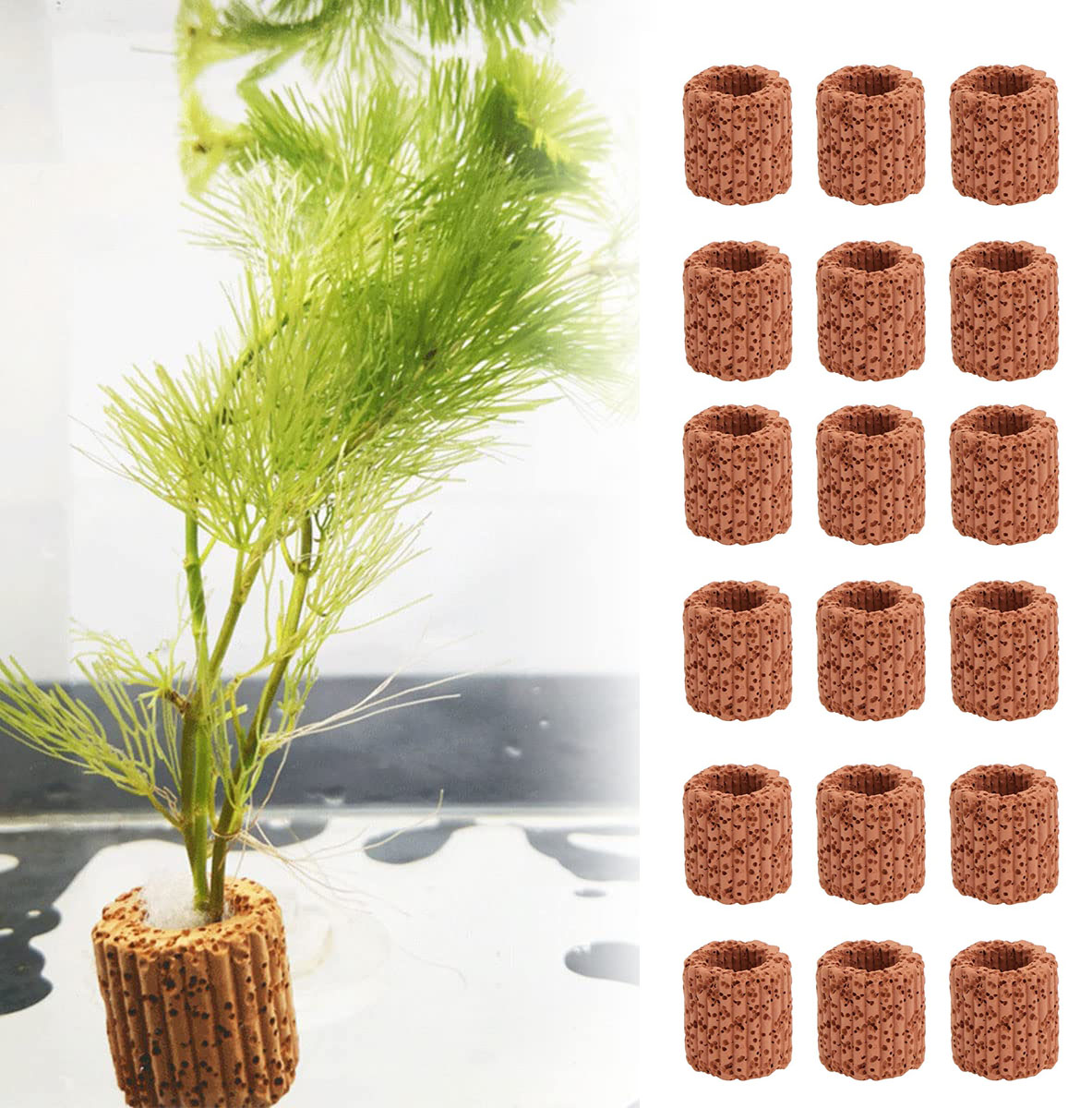 Aquarium Plant Rings - Anneau de Base pour Plantes Aquatiques