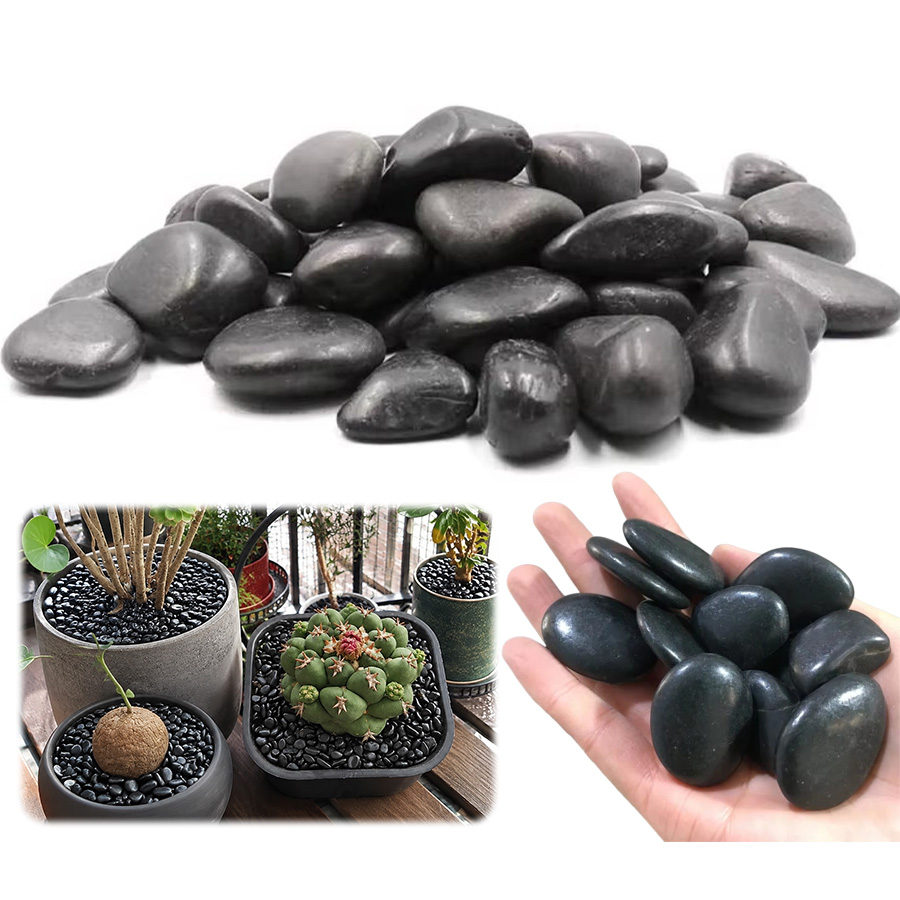 Aquarium Planting Ideas - Galets noirs polis de 200/300/400 g