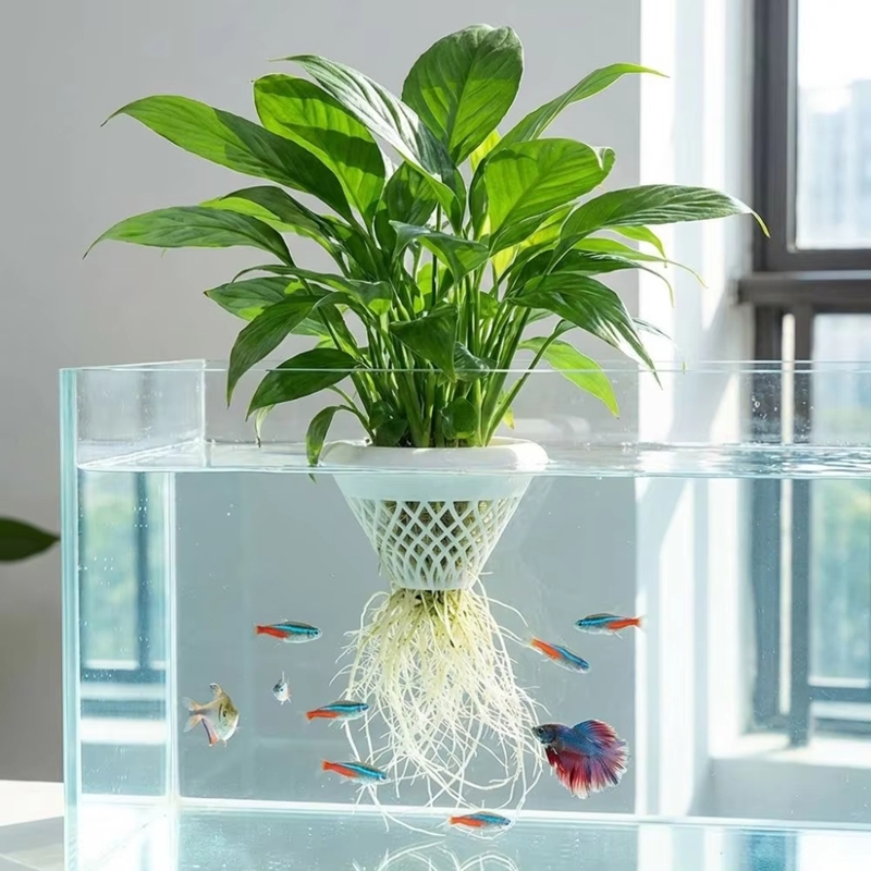 Planted Aquarium Jar - Pot de plante flottant pour aquarium,