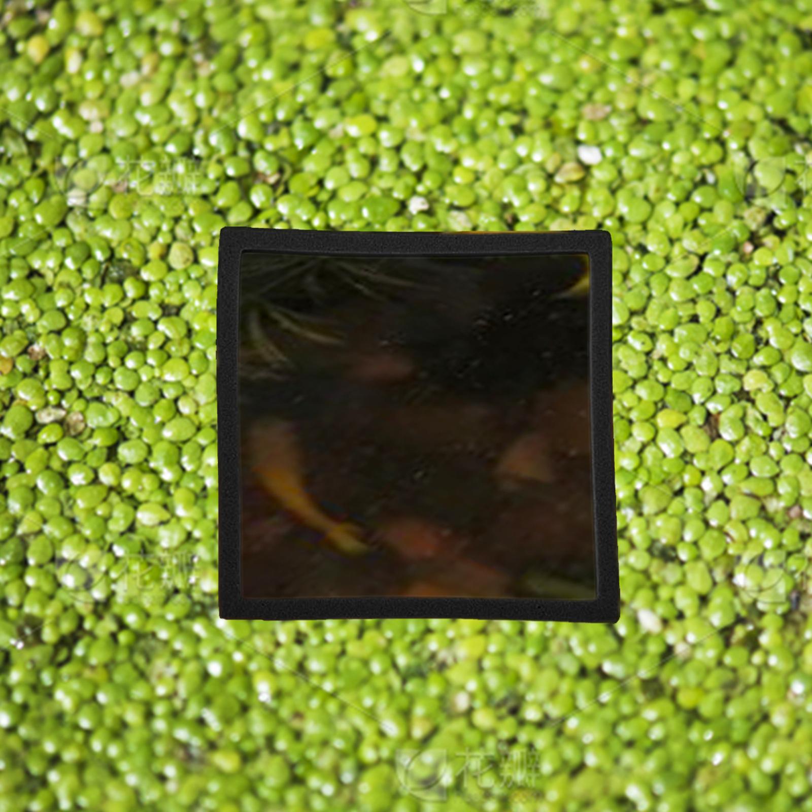 Aquarium Plant Rings - 5 pièces d'anneaux flottants pour plantes