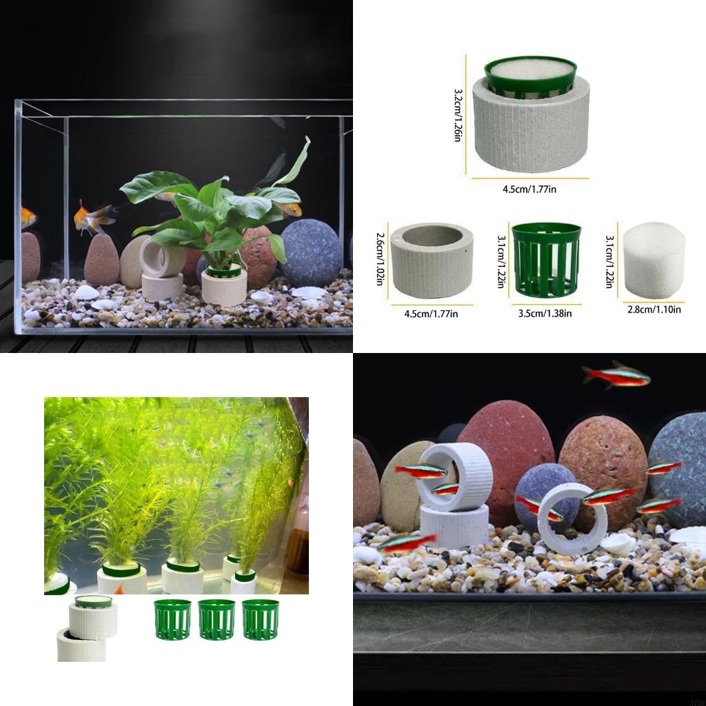 Aquarium Plant Rings - 37ME – ensemble d'anneaux fixes pour