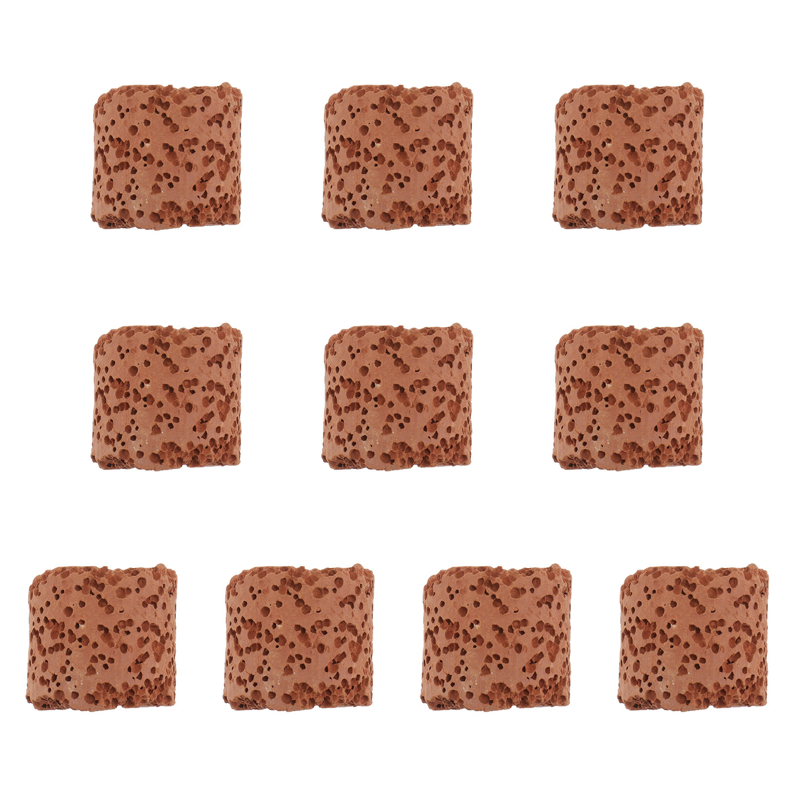 Aquarium Plant Rings - 10 pièces d'anneaux de fixation pour
