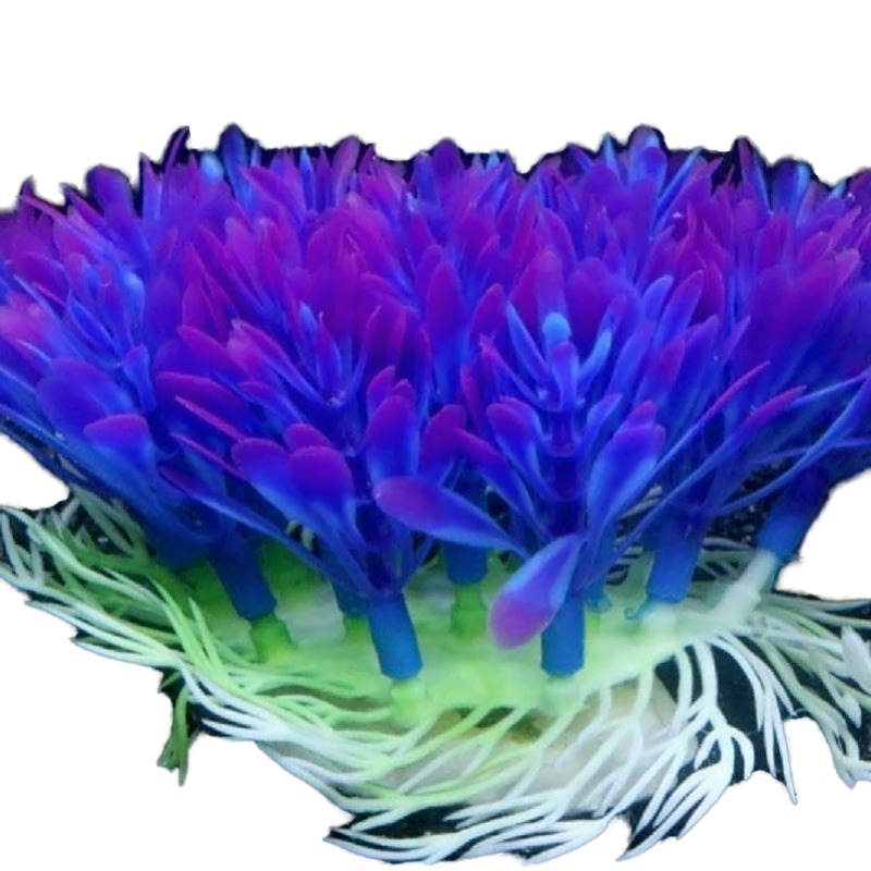 Aquarium Plant Violet - Lot de 10 accessoires de décoration