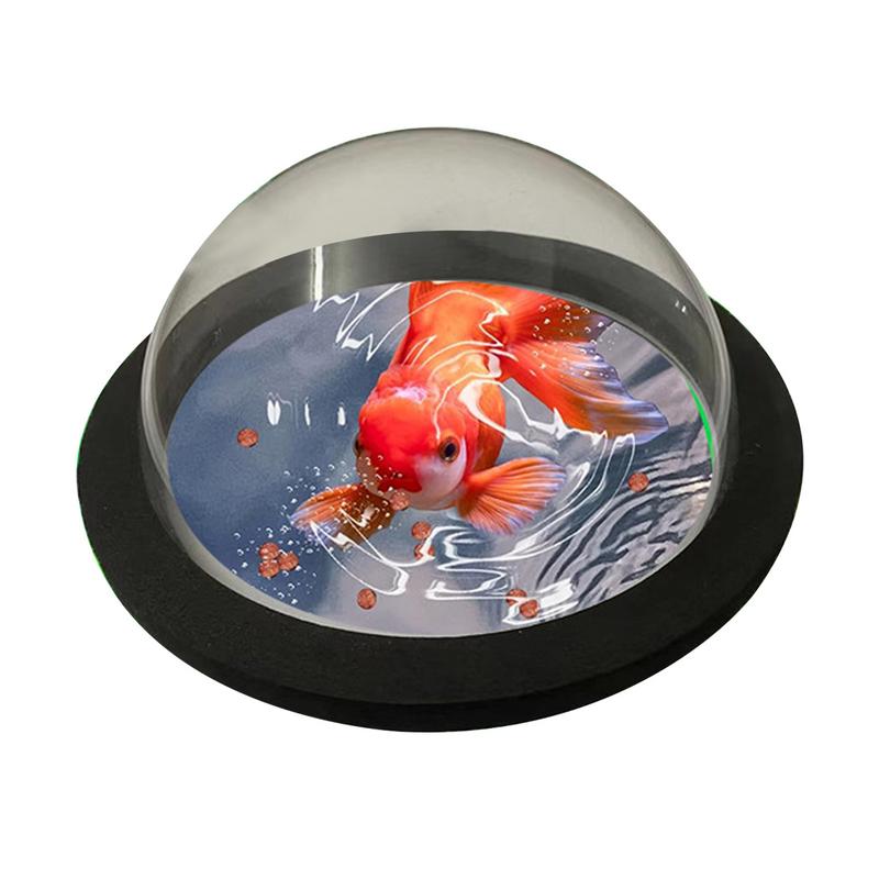Aquarium Plant Rings - Anneau de plante flottante pour aquarium,