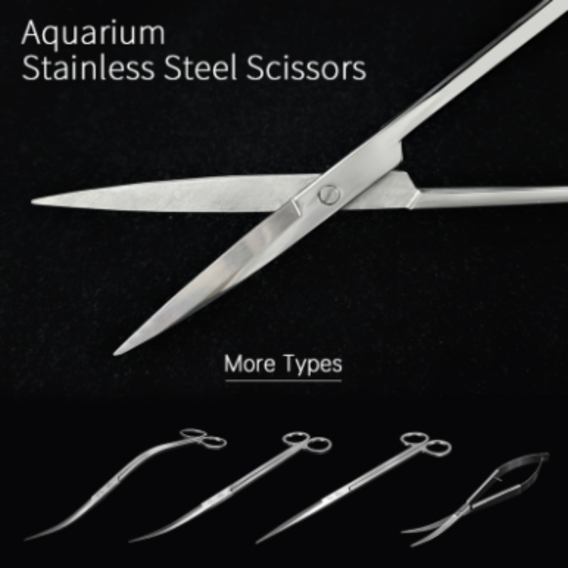 Aquarium Planting Ideas - Ciseaux aquatiques en acier inoxydable Week