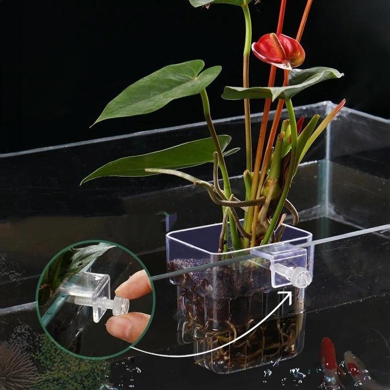 Aquarium Plant Easy To Grow - Support de plante suspendu transparent pour