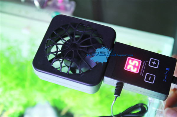 Aquarium Planting Ideas - Mini capteur de ventilateur de refroidissement