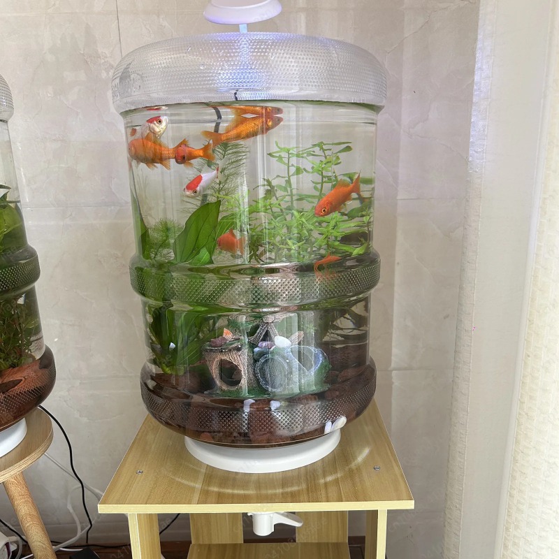 Aquarium Planted Tank Setup - Réservoir de poissons domestique à installation