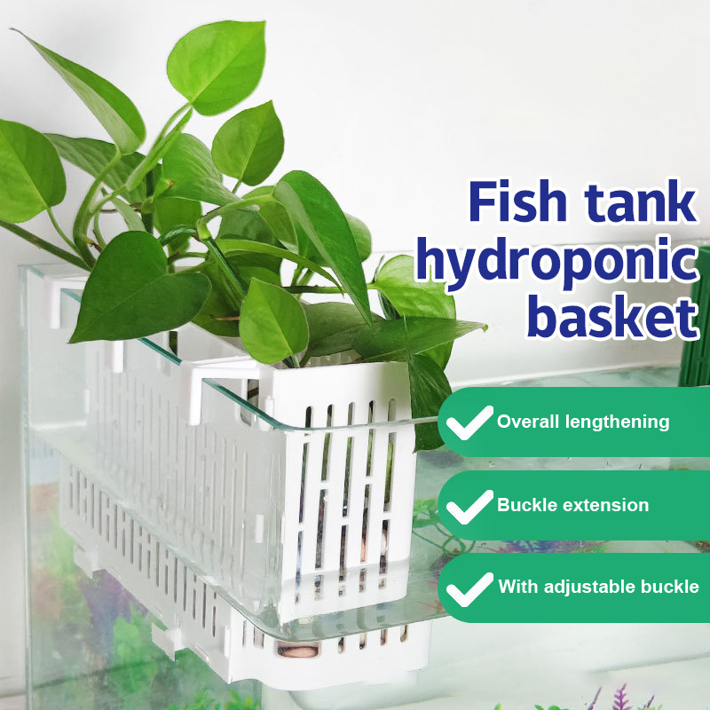 Aquarium Plant Rings - 【F】Support suspendu pour aquarium, panier hydroponique