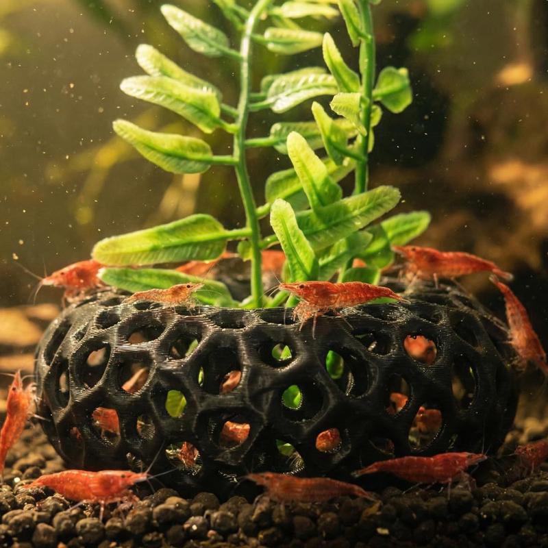 Abri pour crevettes d'aquarium - Aquarium Plant Rings avis et prix