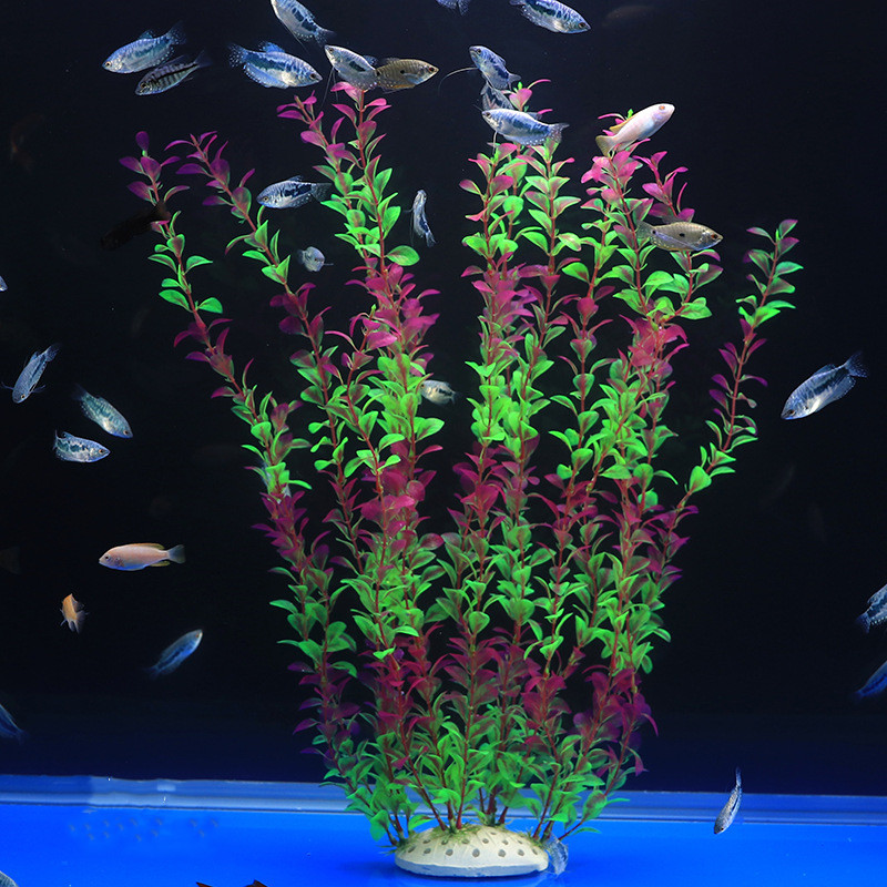 Poisson Artificiel, Plantes Pr - Aquarium Plant Violet avis et prix