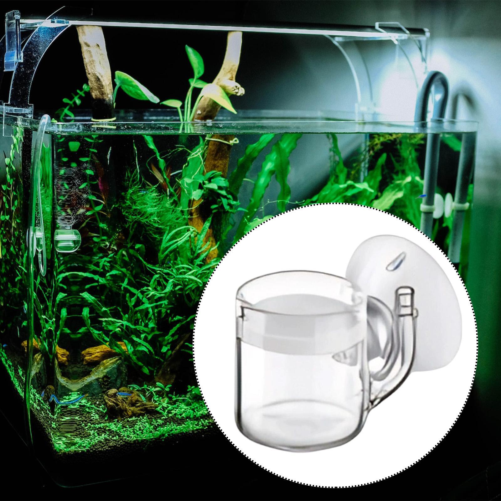 Diffuseur de CO2 pour aquarium - Aquarium Planted Tank Setup avis et prix