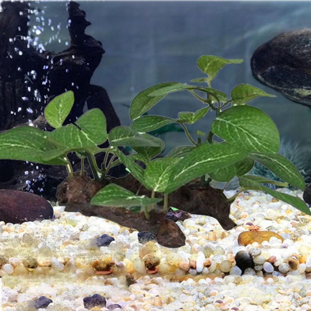 Plastique créatif pour la déco - Planted Aquarium Jar avis et prix