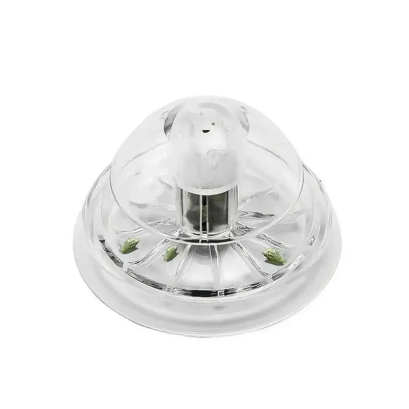 Nouvelle boîte piège à escargo - Aquarium Planting Ideas avis et prix