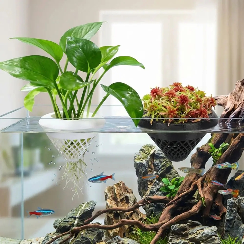 Pot de plante flottant pour aq - Planted Aquarium Jar avis et prix