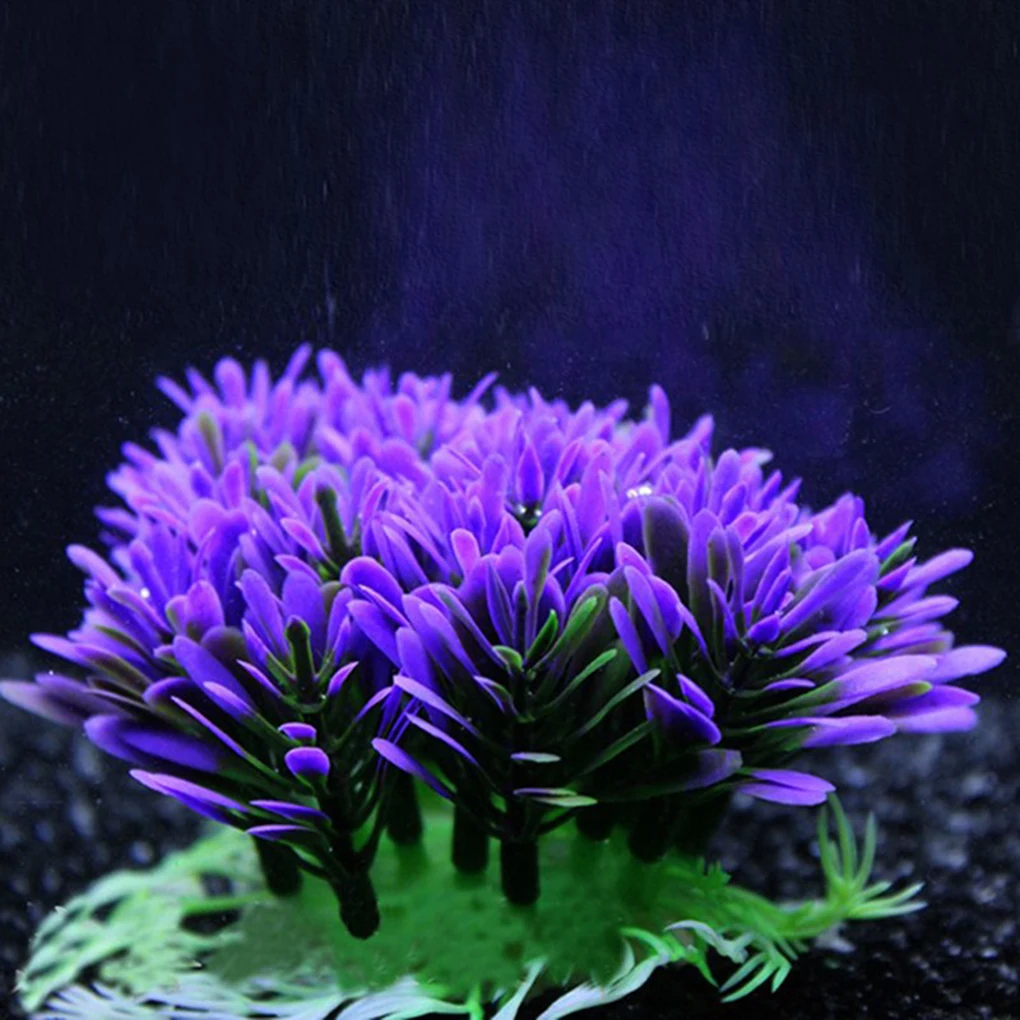 Décorations d'aménagement pays - Aquarium Plant Violet avis et prix