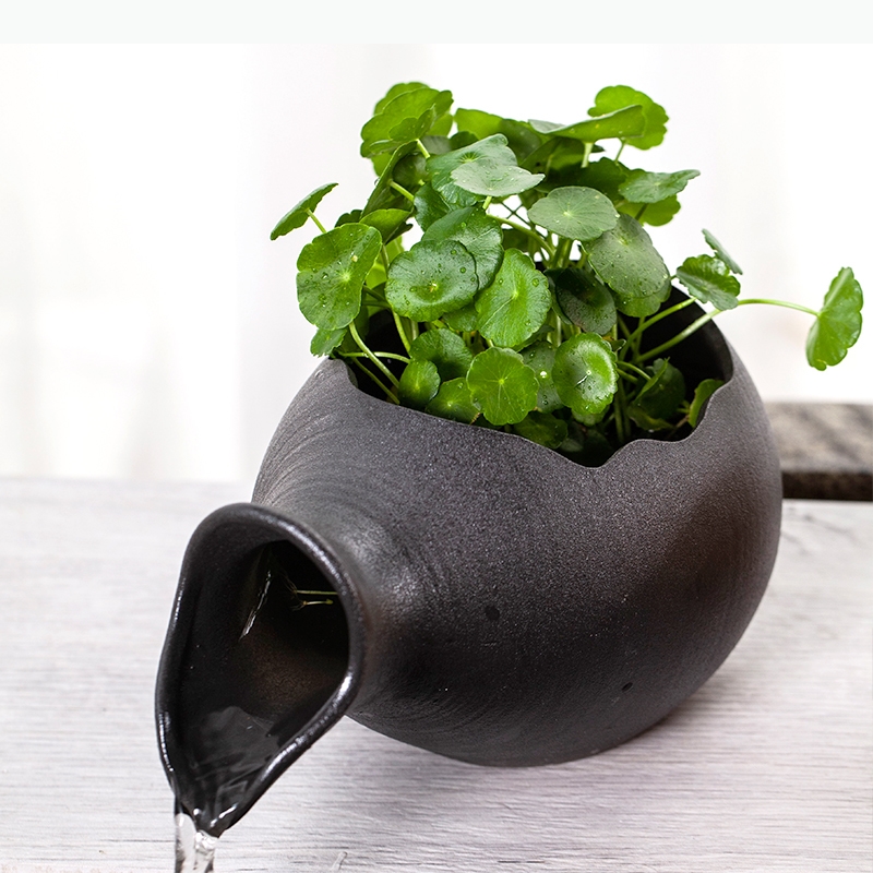 Aquariums de poissons en céram - Planted Aquarium Jar avis et prix