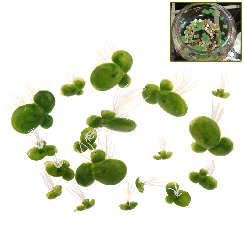 Poisson-canard Élflottant avec - Aquarium Plant Roots avis et prix