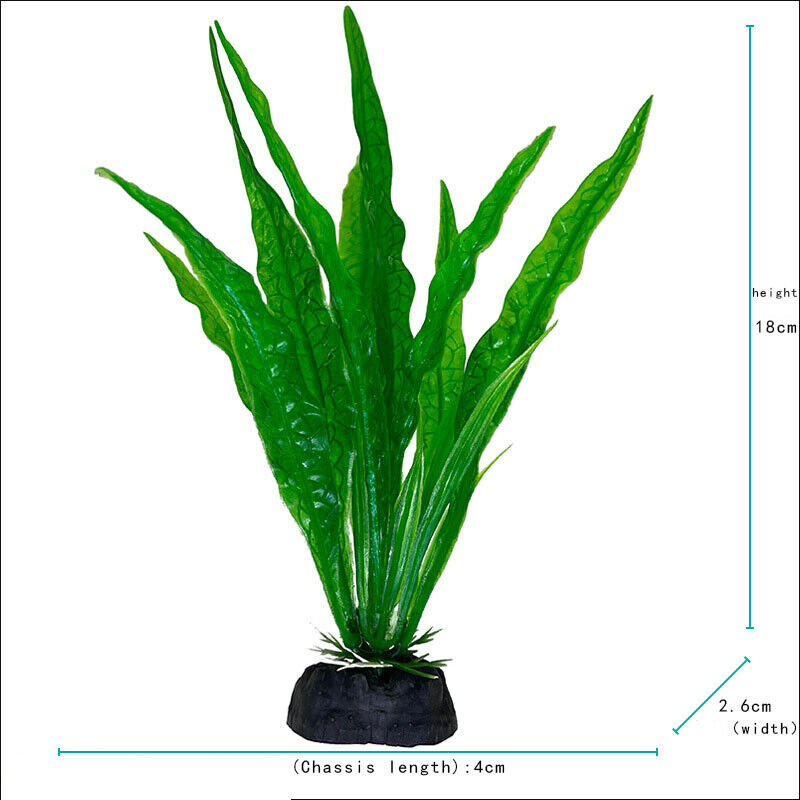 Plantes de paysage sous-marin  - Aquarium Plant Violet avis et prix
