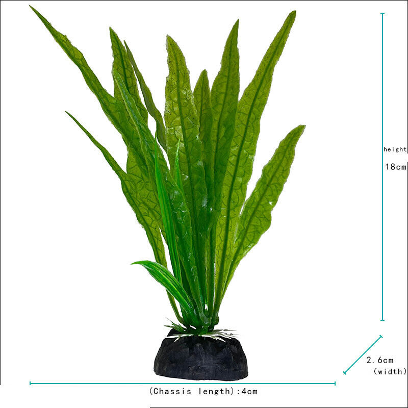 Plantes de paysage sous-marin  - Aquarium Plant Violet avis et prix