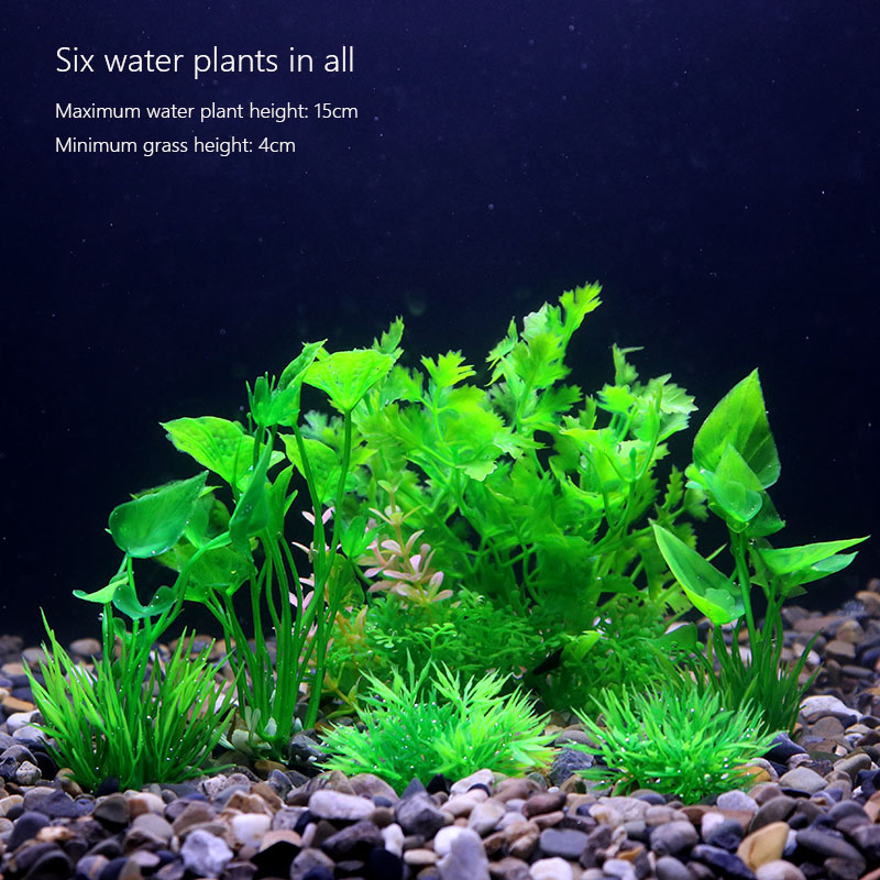Plantes de paysage sous-marin  - Aquarium Plant Violet avis et prix