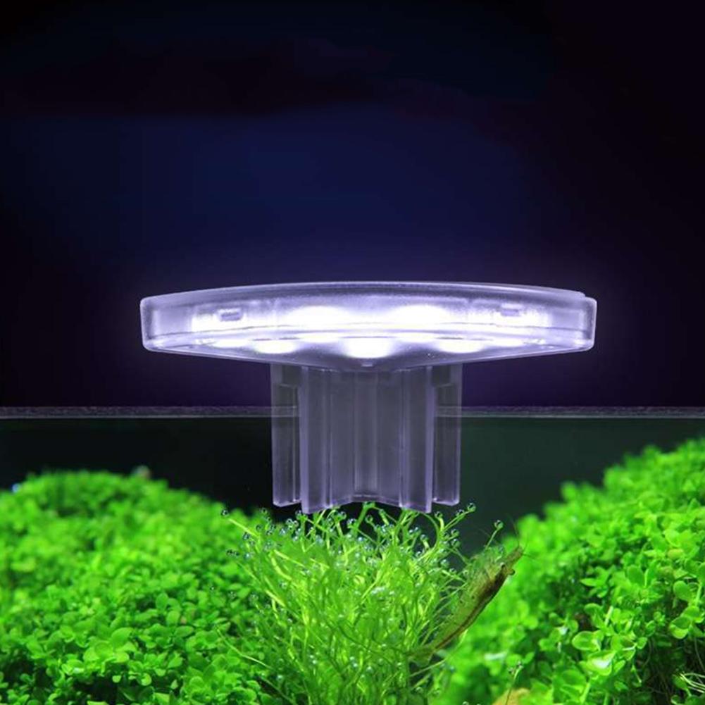 Lampe LED pour culture de plan - Aquarium Plant Easy To Grow avis et prix