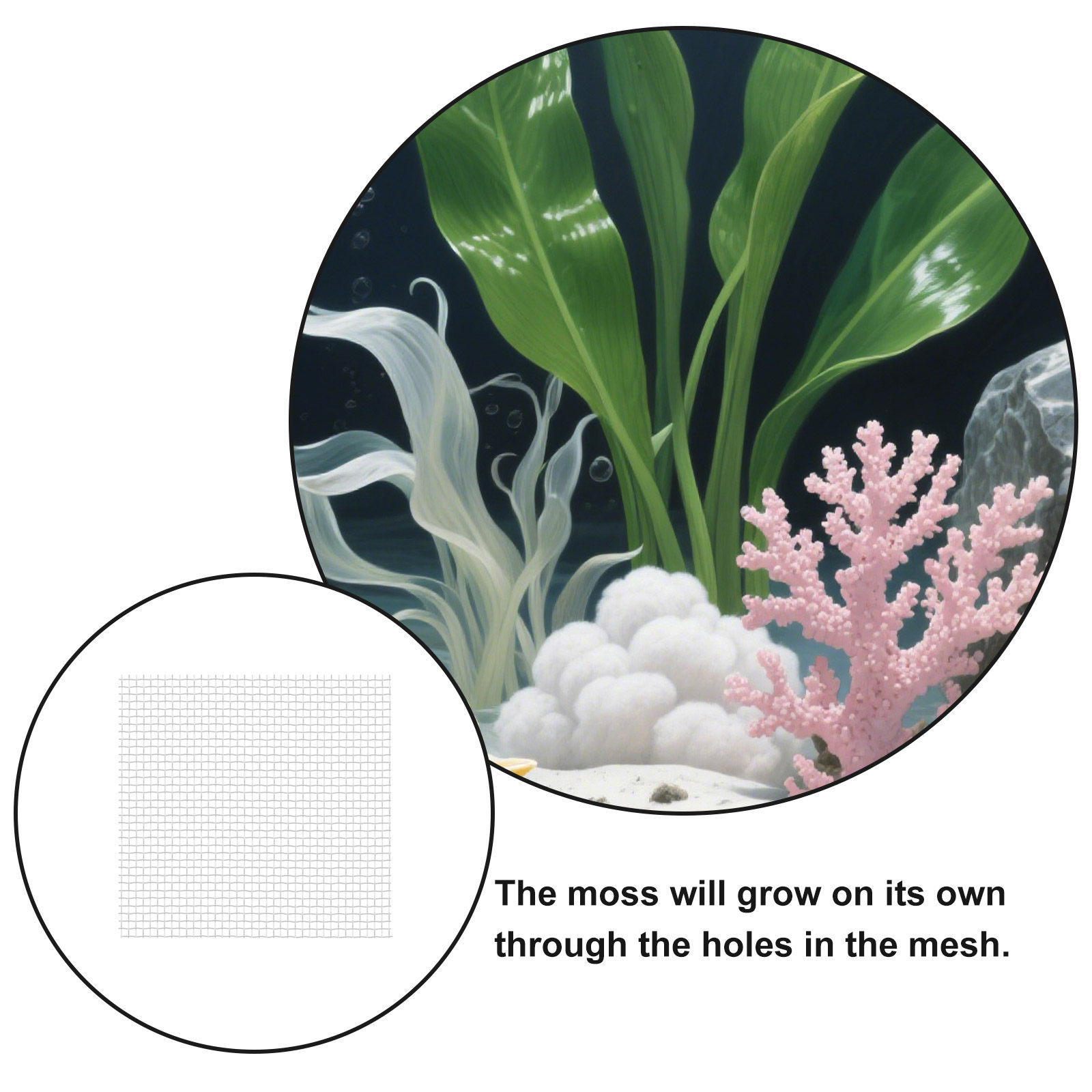 12 pièces, tapis en treillis m - Aquarium Planted Tank Setup avis et prix
