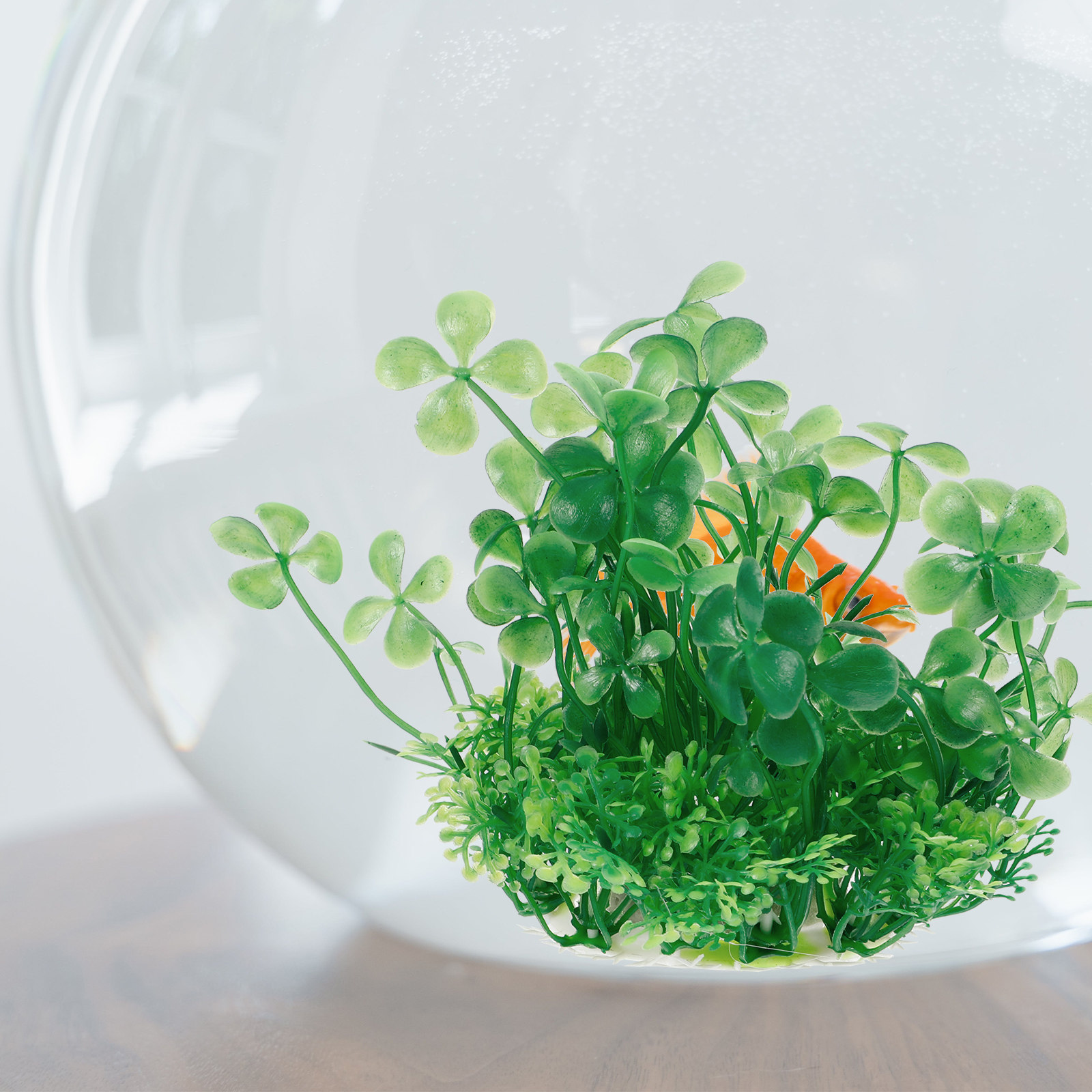 Plantes artificielles en plast - Aquarium Planted Tank Setup avis et prix
