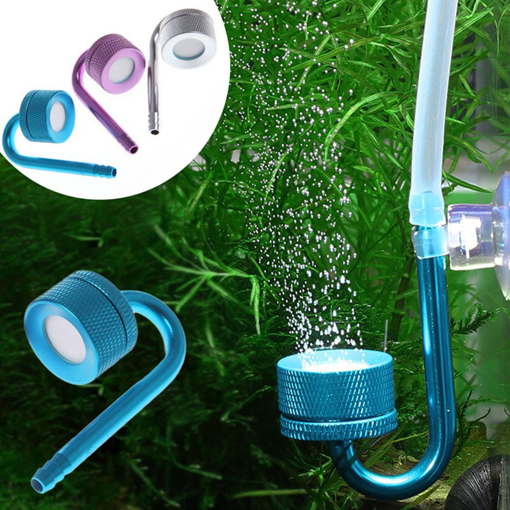 Diffuseur atomiseur de CO2 arg - Aquarium Plant Violet avis et prix