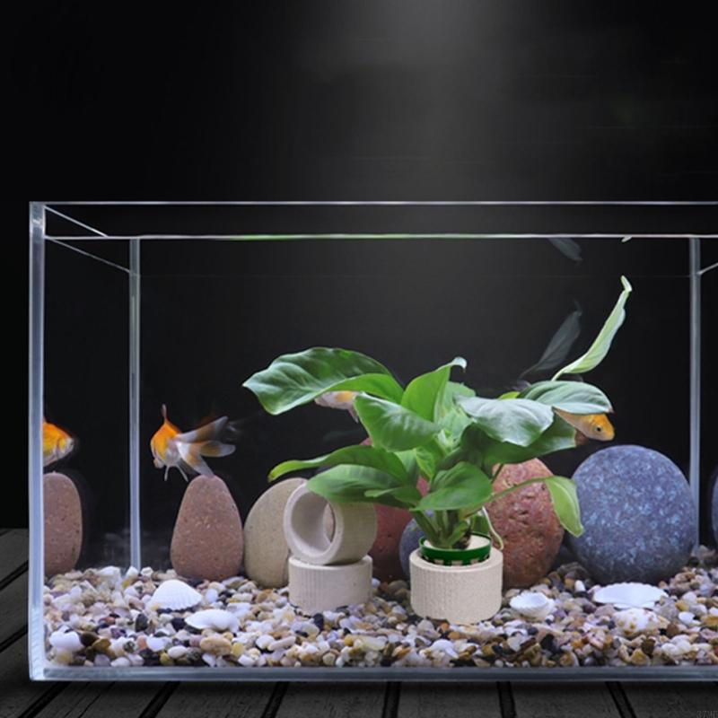 37ME – ensemble d'anneaux fixe - Aquarium Plant Rings avis et prix