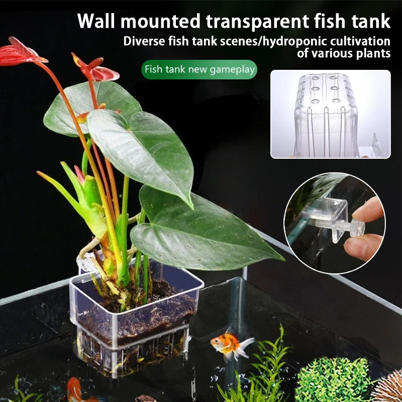 Pots suspendus pour aquarium,  - Aquarium Plant Rings avis et prix
