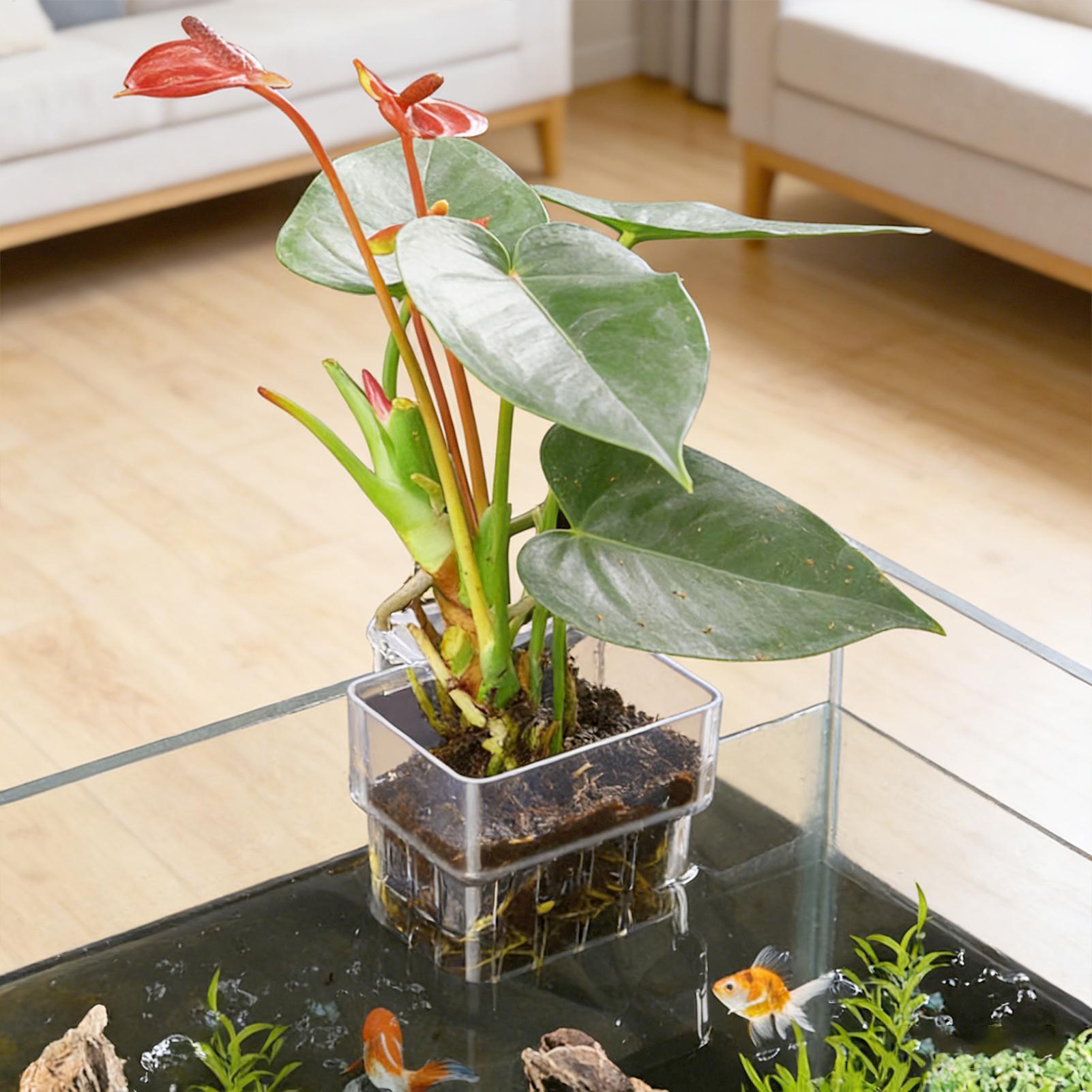 Panier pour plantes d'aquarium - Aquarium Plant Rings avis et prix