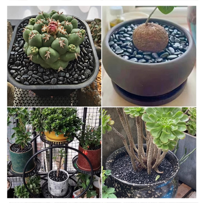 Pierres de rivière polies blan - Aquarium Planting Ideas avis et prix