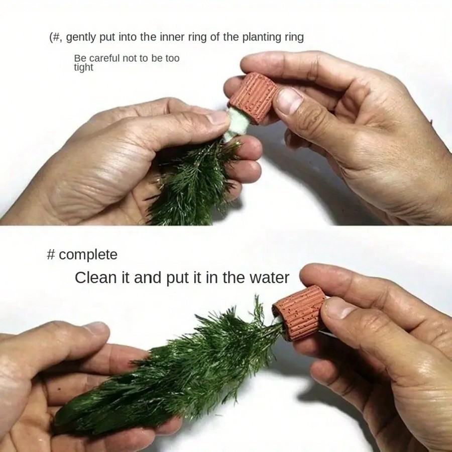 Anneaux de Fixation pour plant - Aquarium Plant Rings avis et prix