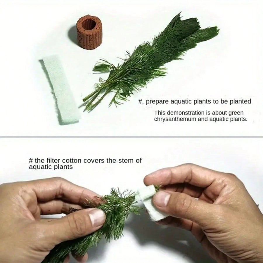 Anneaux de Fixation pour plant - Aquarium Plant Rings avis et prix