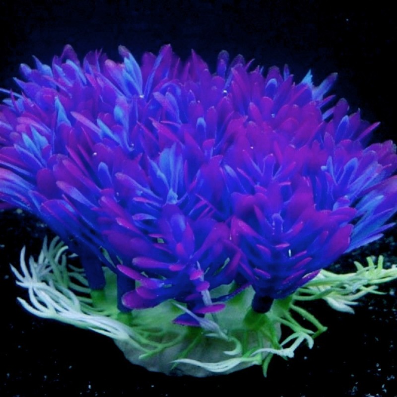 Lot de 10 accessoires de décor - Aquarium Plant Violet avis et prix