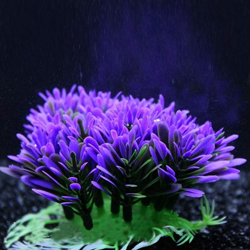 Lot de 10 accessoires de décor - Aquarium Plant Violet avis et prix