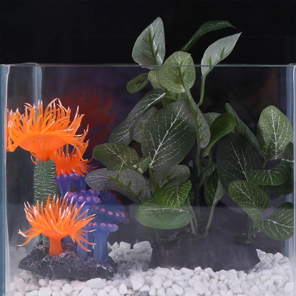 Plantes artificielles créative - Planted Aquarium Jar avis et prix