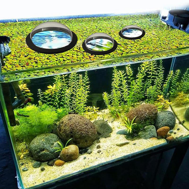 Anneau de plante flottante pou - Aquarium Plant Rings avis et prix