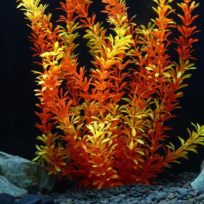 Plantes tropicales artificiell - Aquarium Planting Ideas avis et prix