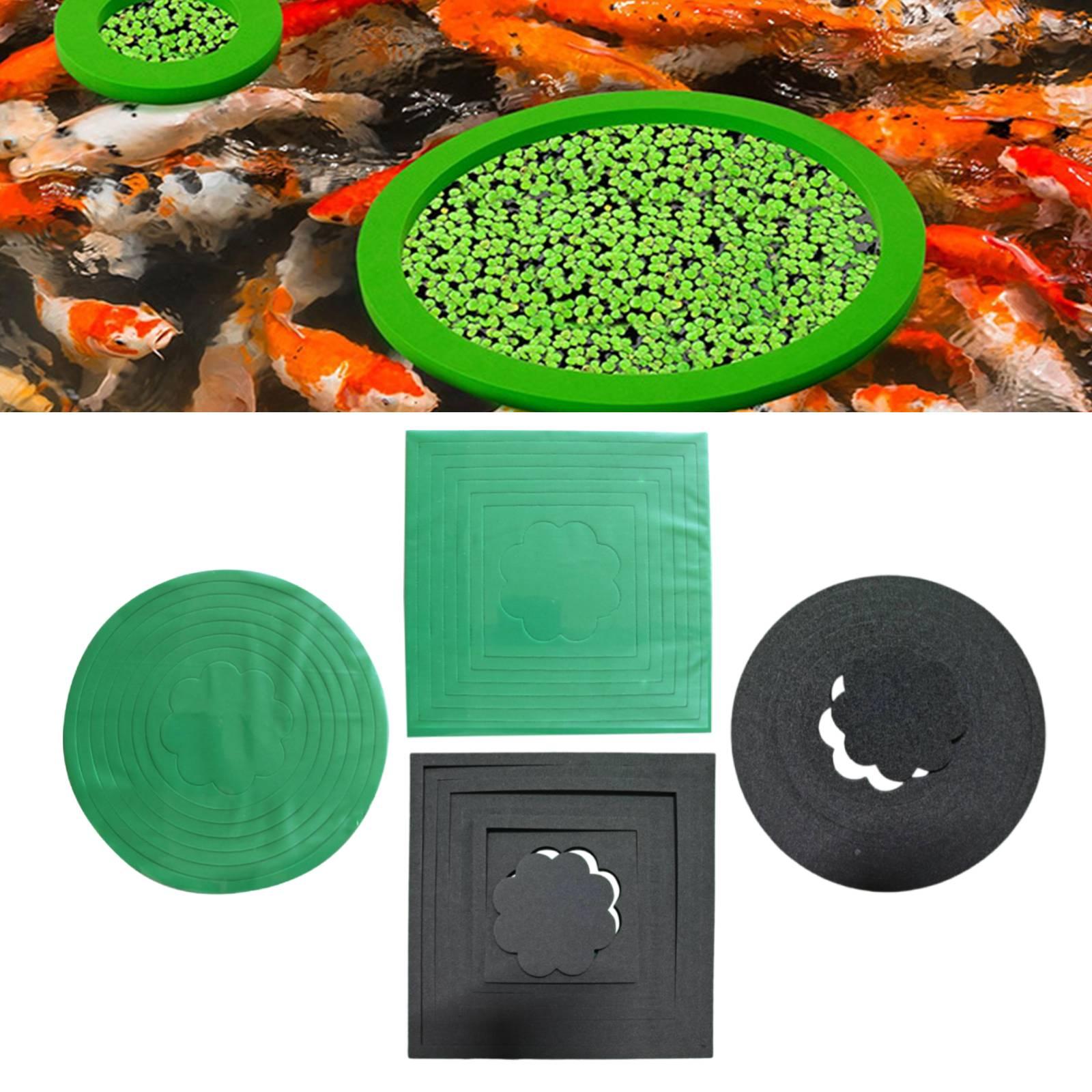 Anneaux flottants en EVA pour  - Aquarium Plant Rings avis et prix