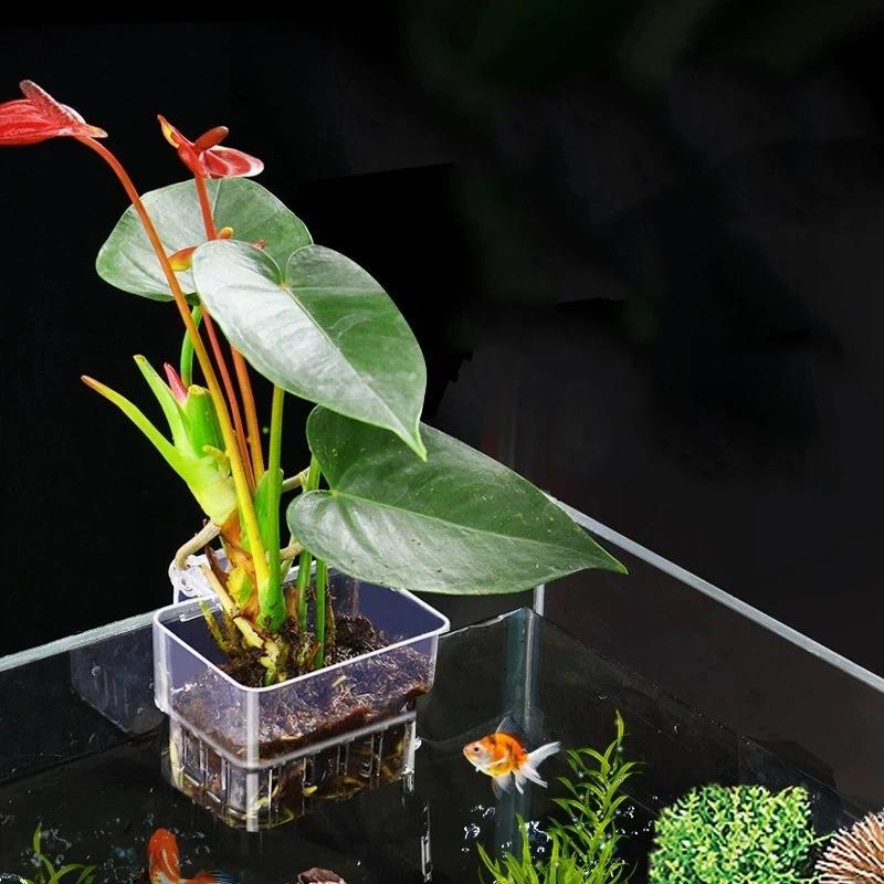 Support transparent suspendu p - Aquarium Plant Easy To Grow avis et prix
