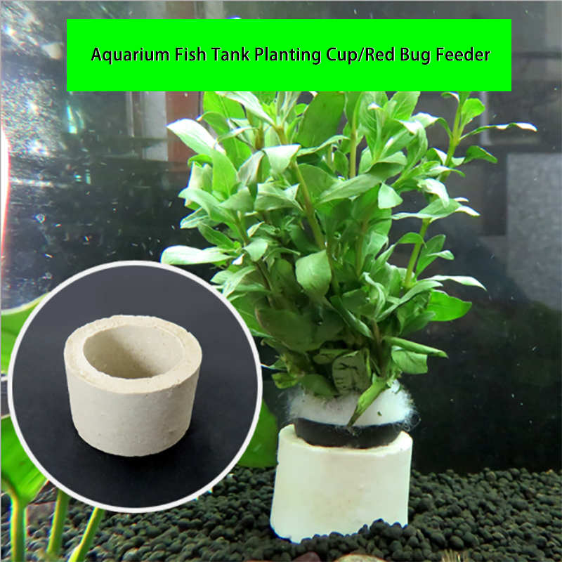 Anneau en céramique de décorat - Aquarium Plant Rings avis et prix