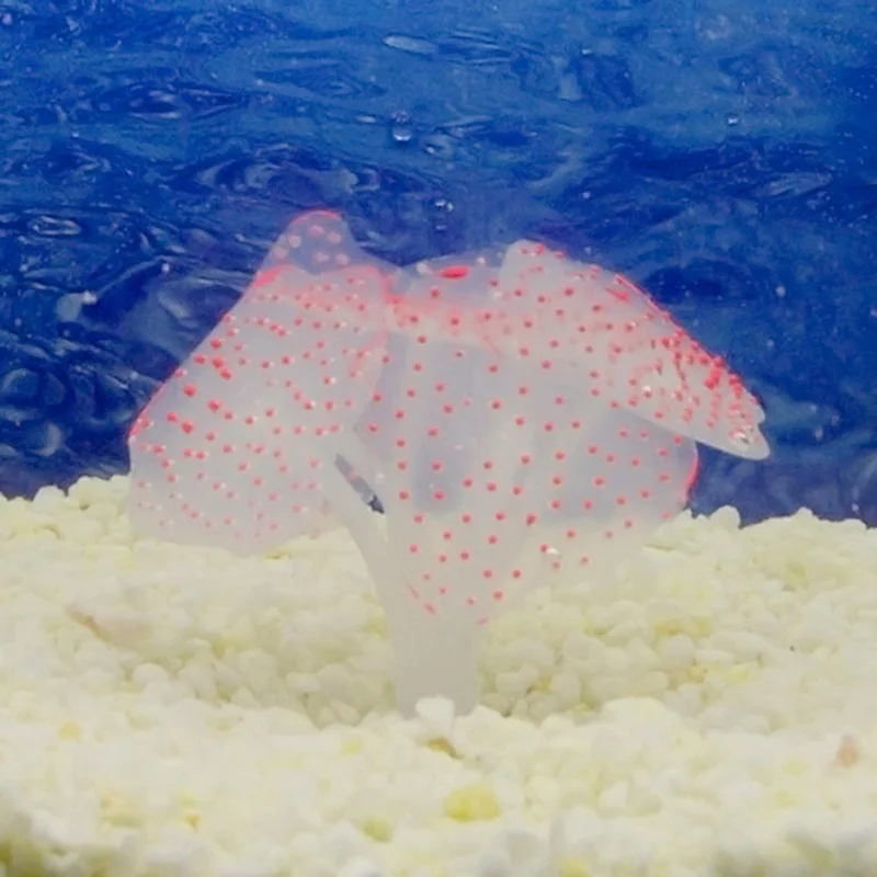 1 pièces coloré Silicone artif - Aquarium Plant Violet avis et prix