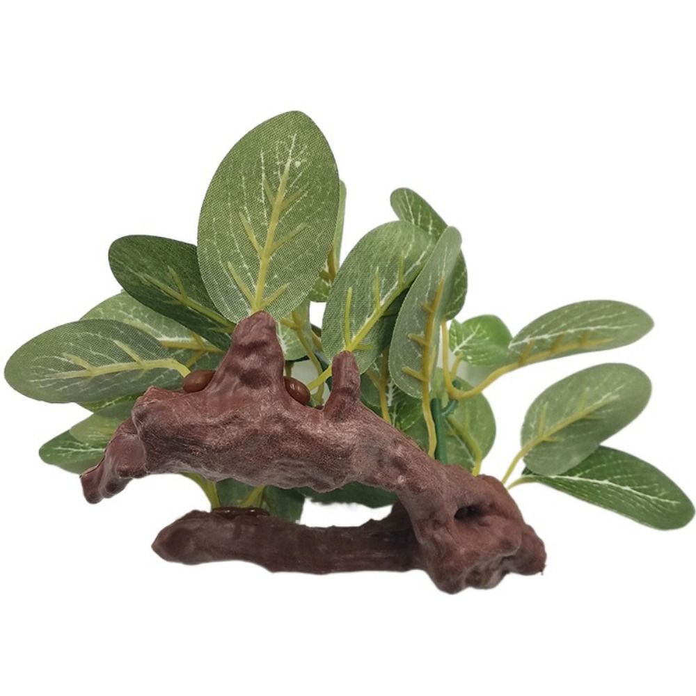 Plante artificielle réaliste e - Planted Aquarium Jar avis et prix