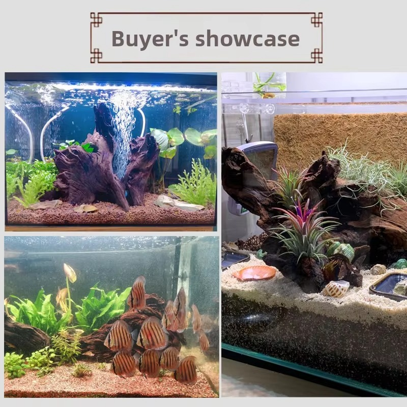 Coraux artificiels pour aquari - Aquarium Plant Violet avis et prix