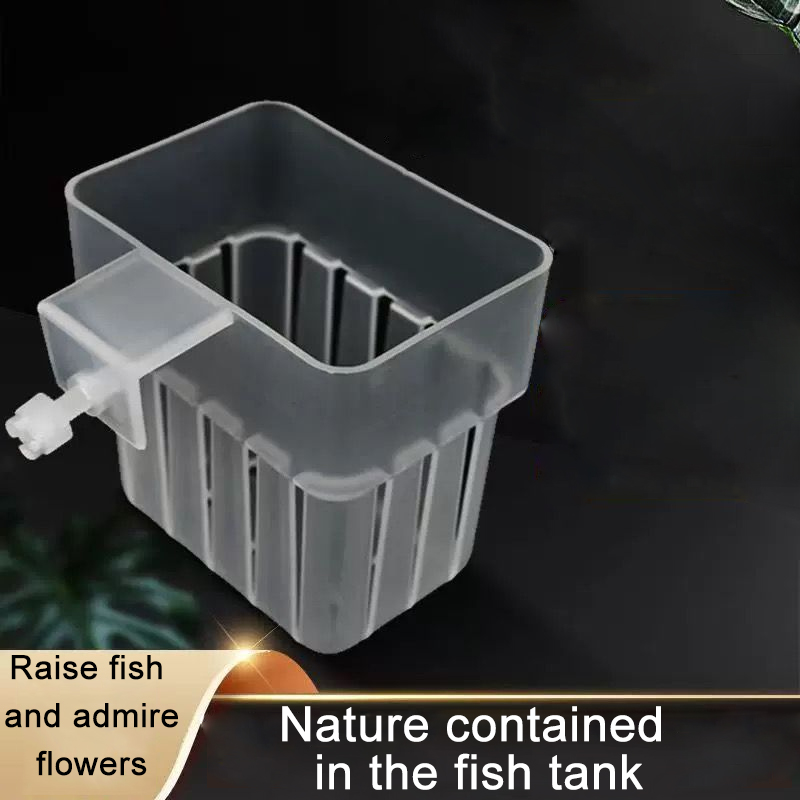 Panier hydroponique Transparen - Aquarium Plant Rings avis et prix